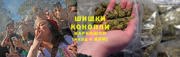 прущие грибы Алзамай