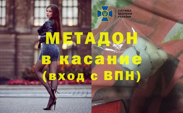 прущие грибы Алзамай