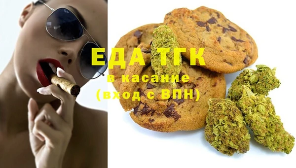 СК Алексин