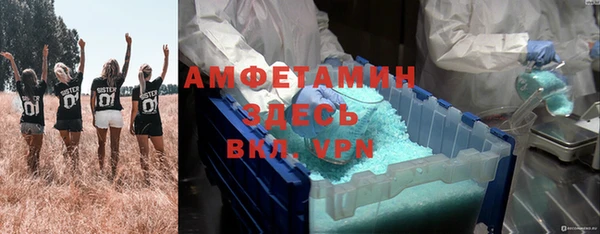 прущие грибы Алзамай
