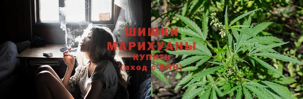 амф Алексеевка