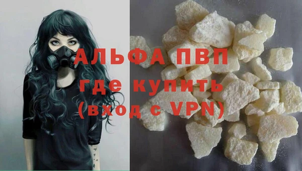 СК Алексин