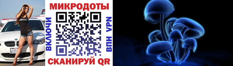 Галлюциногенные грибы прущие грибы  Буй 